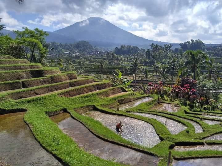 Adhitya Dharma Guest House Munduk Extérieur photo